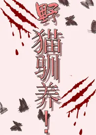 野猫驯养!(高H!1V1)