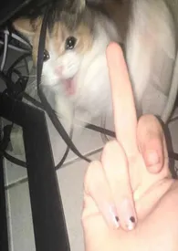 讨厌又怎幺样，还不是要乖乖挨操（百合H）