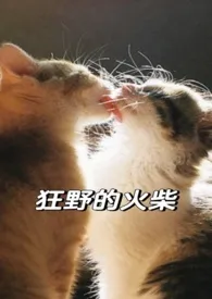 狂野的火柴(姐弟骨科)