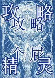 攻略精灵（西幻NP）