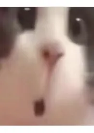 xp集