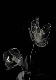 黑色欲望(偷情H)