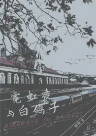 霓虹夜与白鸽子（金主）