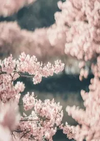 三春之桃（短篇合集）