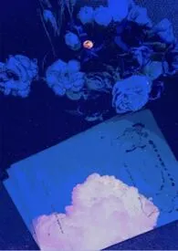 与病患成了炮友关系