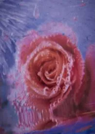 我所关注的那位博主