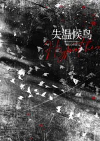失温候鸟