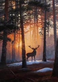 《想被命名》（SM/济南圈内真实经历）