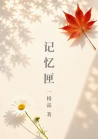 记忆匣（兄妹）