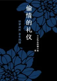 偷情的礼仪【1V2】