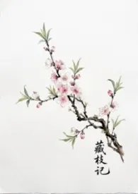 藏枝记(1v1骨科)