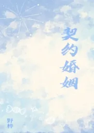 契约婚姻（纯百）